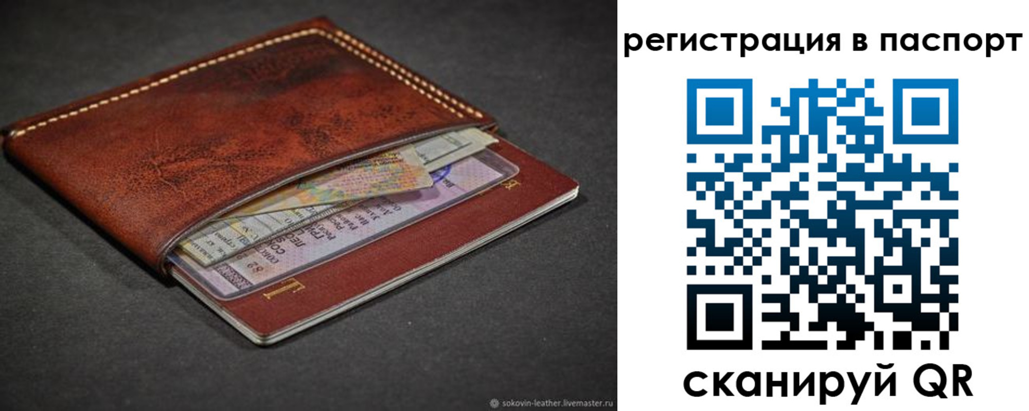 прописка иностранных граждан в Петропавловске-Камчатском
